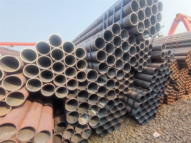 IMG_20230401_153248.jpg IMG_20230401_153248.jpg