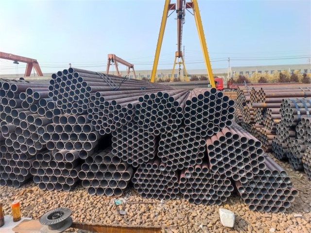 IMG_20230401_152825.jpg IMG_20230401_152825.jpg